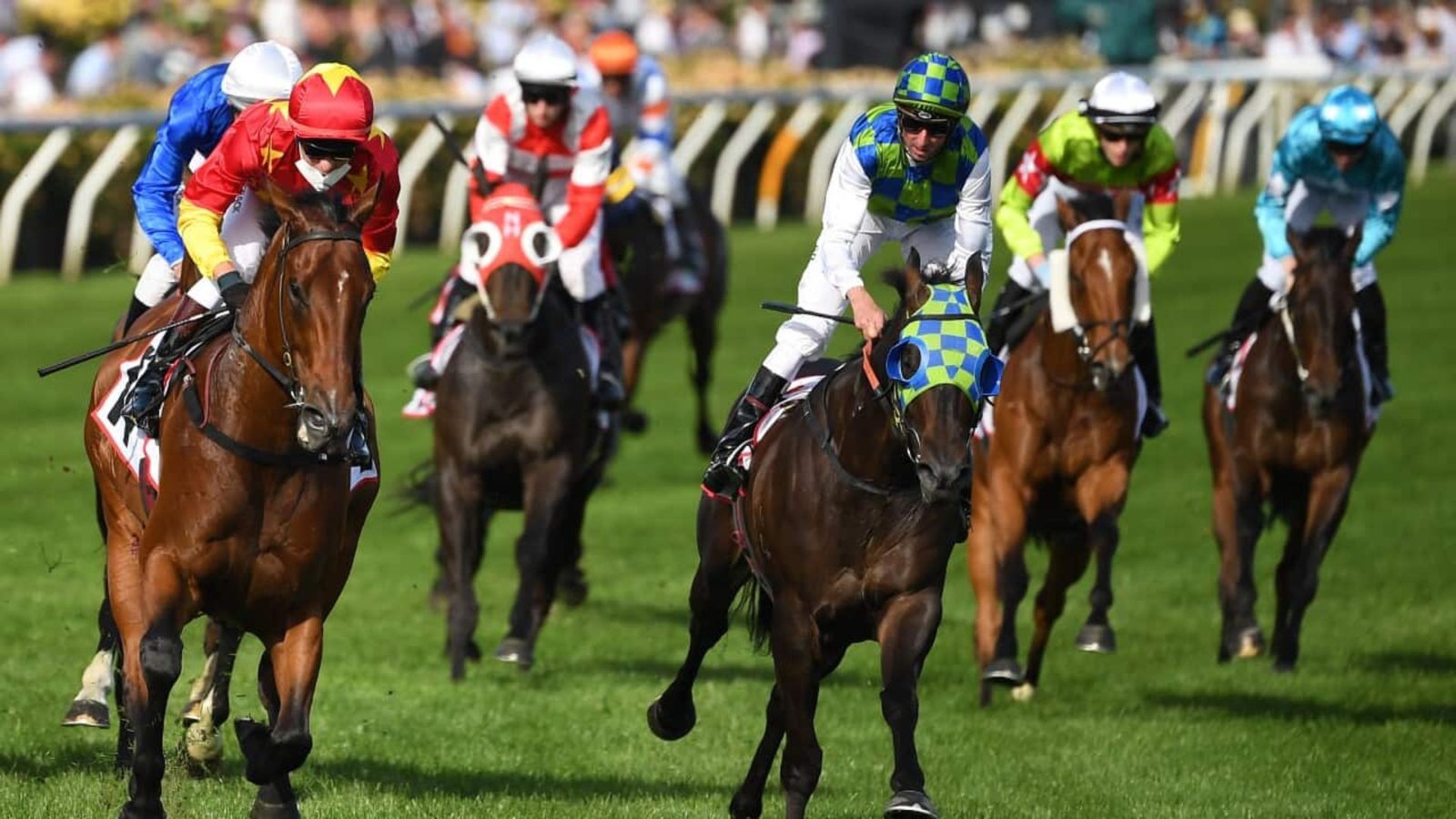 this image shows Horses Racing Live